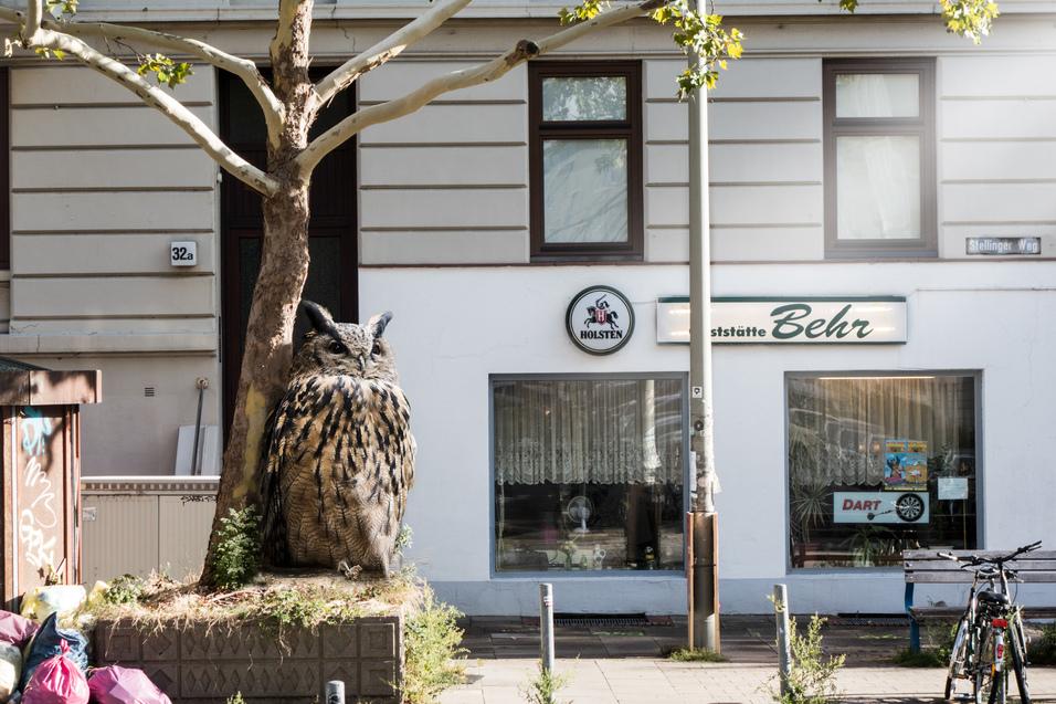 Gro&szlig;e, kunstvolle Eule sitzt auf einem Baum vor einem Gesch&auml;ft mit dem Namen &bdquo;Behr&ldquo; und Fahrrad im Vordergrund.