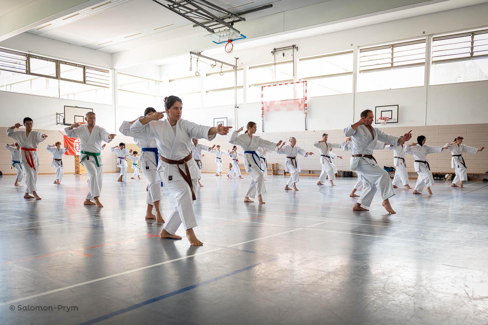 Karate-Training mit mehreren Teilnehmern in weißen Anzügen, die synchron Tritte und Techniken in einer Sporthalle ausführen.